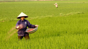 ninh binh
