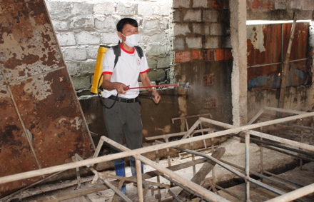 Gia Viễn công bố ổ dịch tả lợn châu Phi