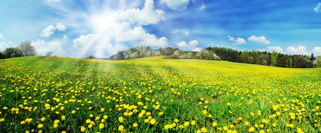 Mách bạn cách chọn giấy dán tường cho ngày mùa hè Mách bạn cách chọn giấy dán tường cho ngày mùa hè